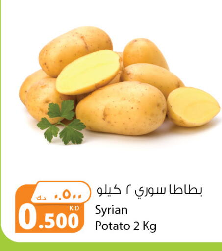 Potato from Syria available at Agricultural Food Products Co. in Kuwait - Kuwait City