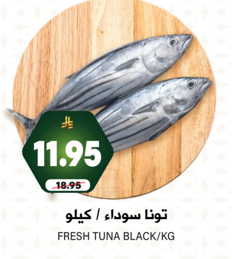 الأسماك الطازجة in جراند هايبر, المملكة العربية السعودية Offers - المملكة العربية السعودية تونة available at جراند هايبر in مملكة العربية السعودية, السعودية, سعودية - الرياض
