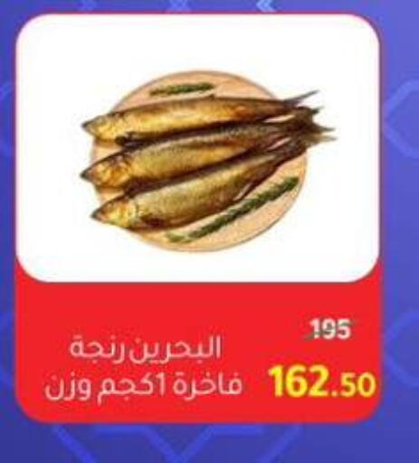 available at وكالة المنصورة - الدقهلية‎ in Egypt - القاهرة