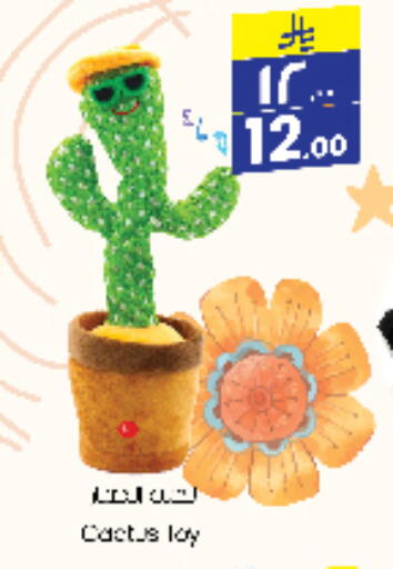 available at City Flower in KSA, Saudi Arabia, Saudi - Sakaka