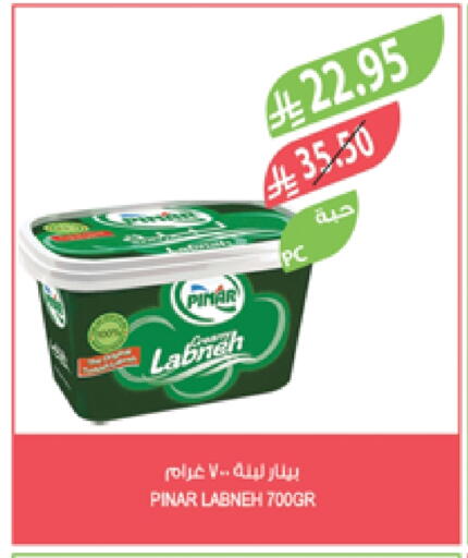 PINAR Labneh available at Farm  in KSA, Saudi Arabia, Saudi - Al-Kharj