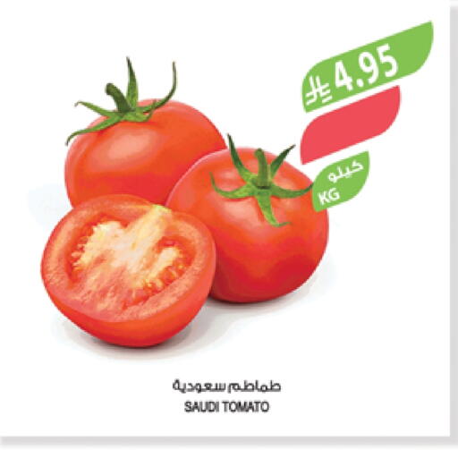 Tomato from Saudi Arabia available at Farm  in KSA, Saudi Arabia, Saudi - Tabuk