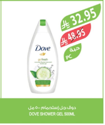 DOVE available at Farm  in KSA, Saudi Arabia, Saudi - Al-Kharj