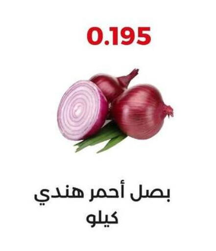 Onion available at  Adailiya Cooperative Society in Kuwait - Ahmadi Governorate