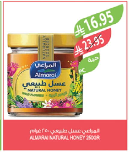 ALMARAI Honey available at Farm  in KSA, Saudi Arabia, Saudi - Tabuk