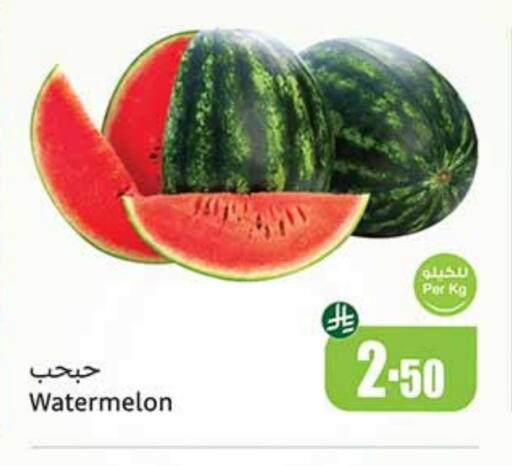 Watermelon available at Othaim Markets in KSA, Saudi Arabia, Saudi - Khafji