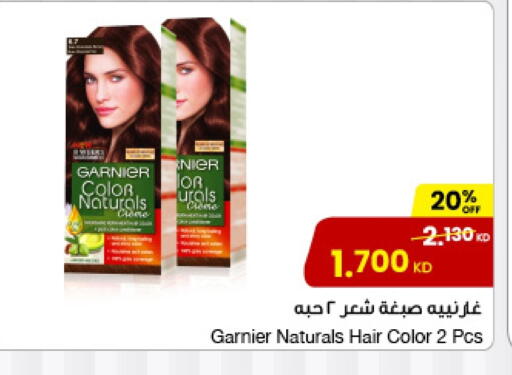 GARNIER Hair Colour available at The Sultan Center in Kuwait - Jahra Governorate