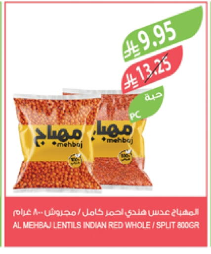 البقول، الفول والحبوب in المزرعة, المملكة العربية السعودية Offers - المملكة العربية السعودية available at المزرعة in مملكة العربية السعودية, السعودية, سعودية - عرعر