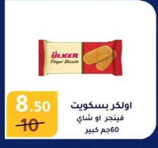 available at Wekalet Elmansoura - Dakahlia  in Egypt - Cairo