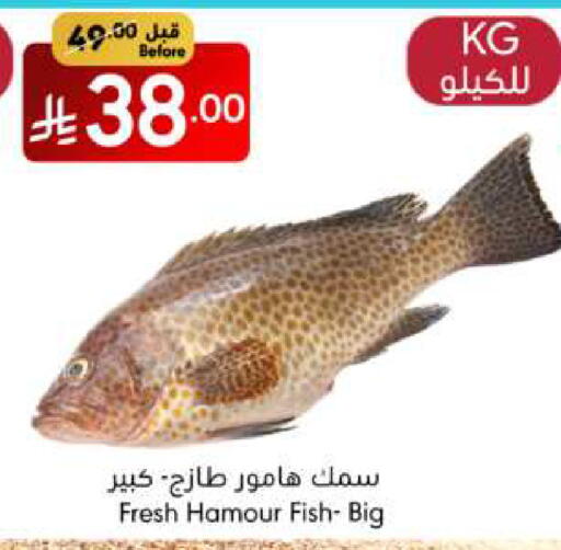 available at Manuel Market in KSA, Saudi Arabia, Saudi - Jeddah