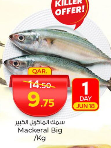 available at Paris Hypermarket in Qatar - Al Rayyan
