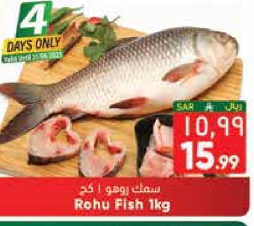 available at City Flower in KSA, Saudi Arabia, Saudi - Jubail