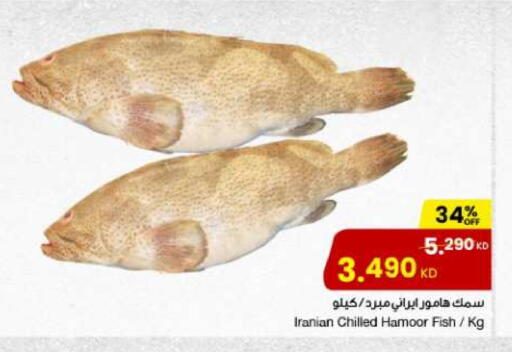 available at The Sultan Center in Kuwait - Ahmadi Governorate