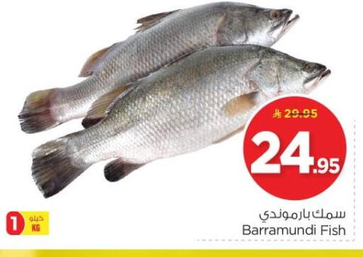 available at نستو in مملكة العربية السعودية, السعودية, سعودية - المجمعة