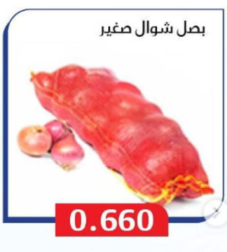Onion available at Al Masayel co-op  in Kuwait - Ahmadi Governorate