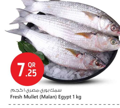 available at Safari Hypermarket in Qatar - Al Rayyan