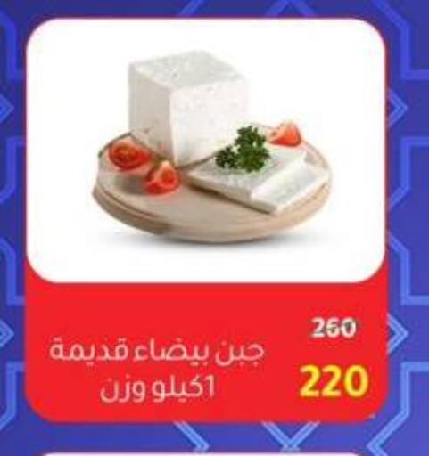 available at وكالة المنصورة - الدقهلية‎ in Egypt - القاهرة