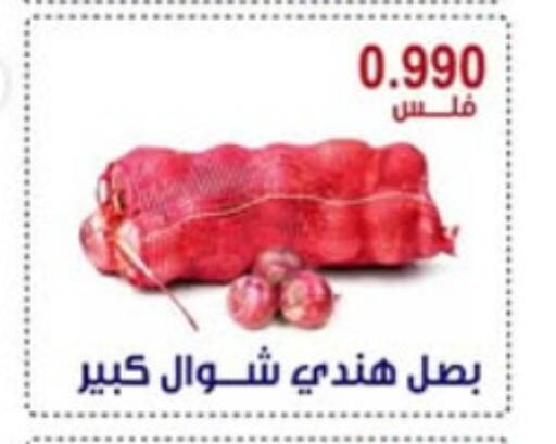 Onion available at Egaila Cooperative Society in Kuwait - Ahmadi Governorate