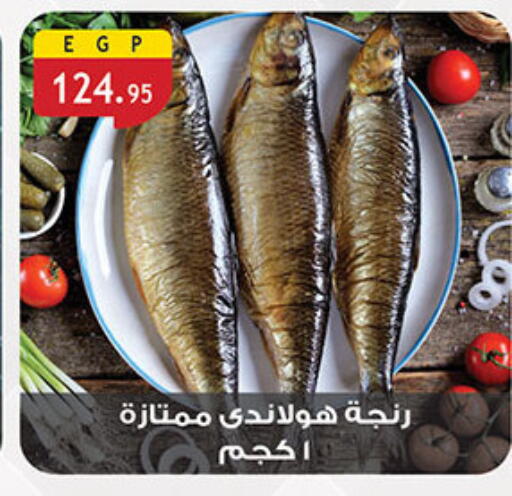 available at الرايه  ماركت in Egypt - القاهرة