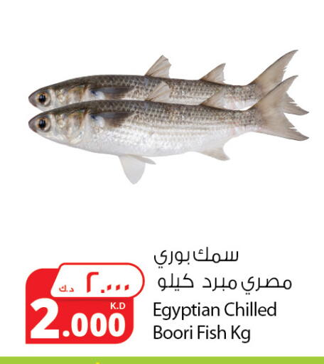 available at Agricultural Food Products Co. in Kuwait - Ahmadi Governorate