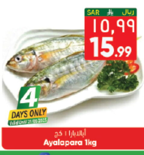 available at City Flower in KSA, Saudi Arabia, Saudi - Hail