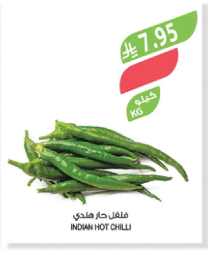 الخضروات الطازجة in المزرعة, المملكة العربية السعودية Offers - المملكة العربية السعودية فلفل / فليفلة from India available at المزرعة in مملكة العربية السعودية, السعودية, سعودية - الخبر