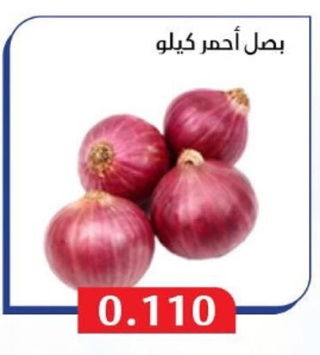 Onion available at Al Masayel co-op  in Kuwait - Ahmadi Governorate