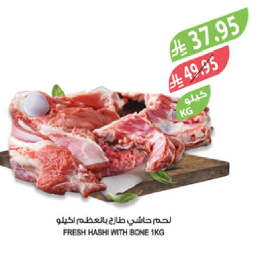 Meat - Fresh & Chilled in Farm , Saudi Arabia Offers - Saudi Arabia Camel meat available at Farm in KSA, Saudi Arabia, Saudi - Khafji