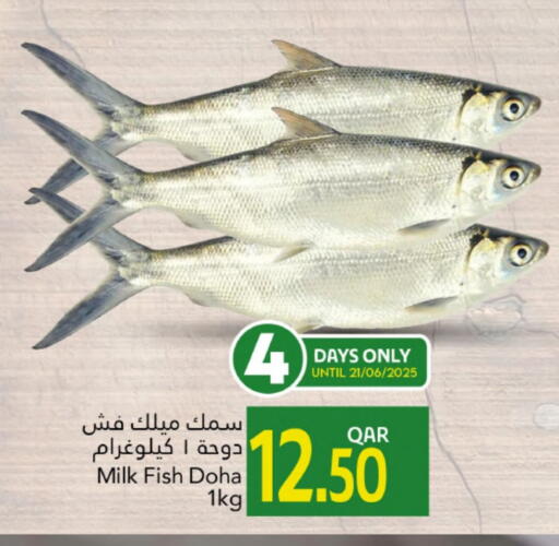 available at Gulf Food Center in Qatar - Al Rayyan