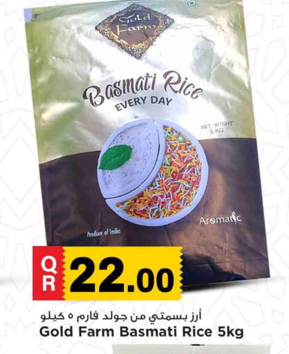Basmati / Biryani Rice available at Marza Hypermarket in Qatar - Al Daayen