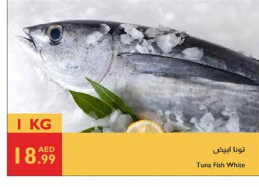 تونة available at إسطنبول سوبرماركت in الإمارات العربية المتحدة , الامارات - ٱلْعَيْن‎
