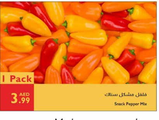 Chilli / Capsicum available at Istanbul Supermarket in UAE - Al Ain