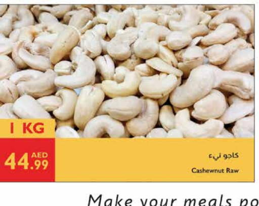 available at إسطنبول سوبرماركت in الإمارات العربية المتحدة , الامارات - ٱلْعَيْن‎