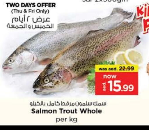 available at نستو هايبرماركت in الإمارات العربية المتحدة , الامارات - ٱلْعَيْن‎