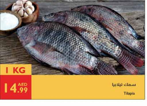 available at إسطنبول سوبرماركت in الإمارات العربية المتحدة , الامارات - ٱلْعَيْن‎