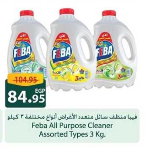 منظف عام available at سبينس in Egypt - القاهرة