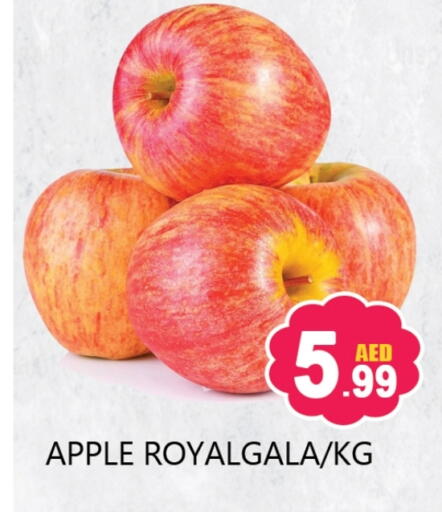 Apples available at Souk Al Mubarak Hypermarket in UAE - Sharjah / Ajman