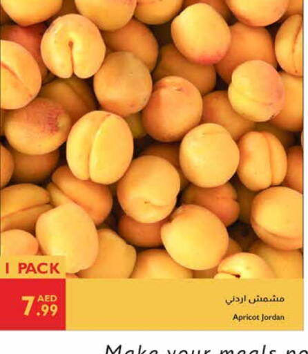 Apricot available at إسطنبول سوبرماركت in الإمارات العربية المتحدة , الامارات - ٱلْعَيْن‎