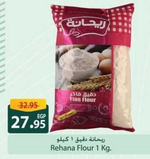 All Purpose Flour available at Spinneys  in Egypt - Cairo