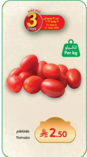 Tomato available at Kabayan Hypermarket in KSA, Saudi Arabia, Saudi - Jeddah