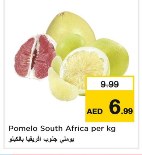 from South Africa available at لاست تشانس in الإمارات العربية المتحدة , الامارات - ٱلْفُجَيْرَة‎