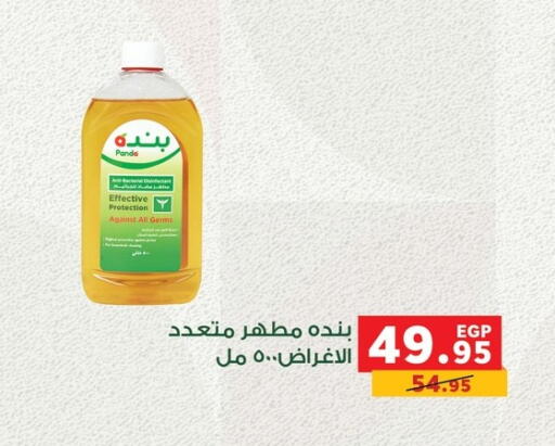 Disinfectant available at Panda  in Egypt - Cairo