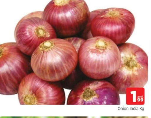 بصل from India available at المدينة in الإمارات العربية المتحدة , الامارات - الشارقة / عجمان