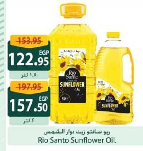 Sunflower Oil available at Spinneys  in Egypt - Cairo