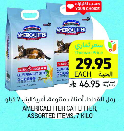available at أسواق التميمي in مملكة العربية السعودية, السعودية, سعودية - المدينة المنورة
