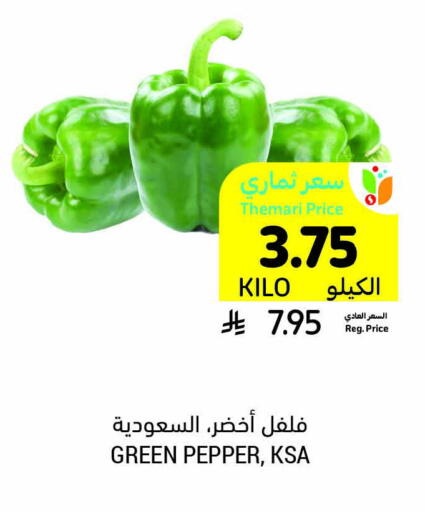 الخضروات الطازجة in أسواق التميمي, المملكة العربية السعودية Offers - المملكة العربية السعودية فلفل / فليفلة available at أسواق التميمي in مملكة العربية السعودية, السعودية, سعودية - الخبر