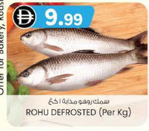 available at ك. إم. هايبرماركت in الإمارات العربية المتحدة , الامارات - ٱلْعَيْن‎