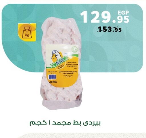 available at بنده in Egypt - القاهرة