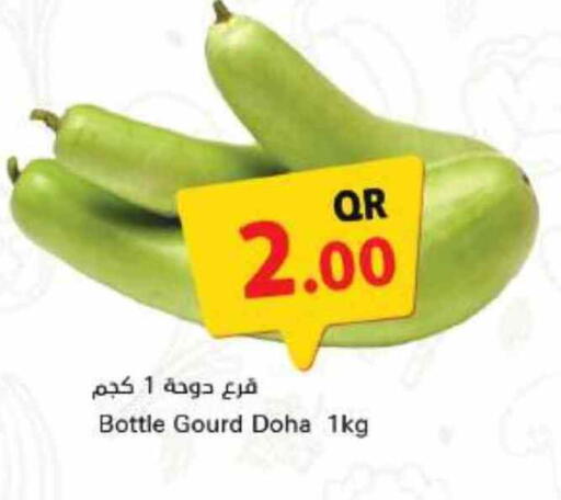 Fresh Vegetables in Ahla Mart, Qatar Offers - Qatar Gourd from Qatar available at Ahla Mart in Qatar - Al Wakra
