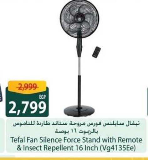 TEFAL Fan available at Spinneys  in Egypt - Cairo